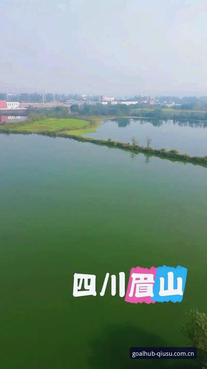 从新手到老手：玩球速体育的圈子内行人才懂的必备经验与平台使用心得